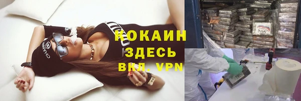 apvp Дмитриев