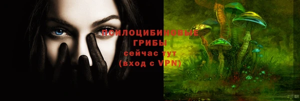 трава Дмитров