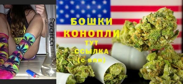 apvp Дмитриев