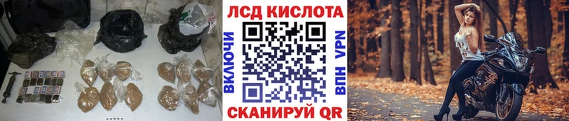 darknet официальный сайт  Жердевка  Лсд 25 экстази кислота 